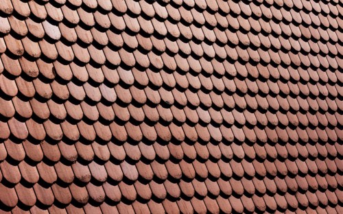 Red shingle roof, house roof, detail, Steyr, Upper Austria, Austria