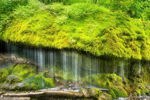 The Dietfurt waterfall, moss and stones, long exposure and ICM (camera moving), Wutach Gorge, Black