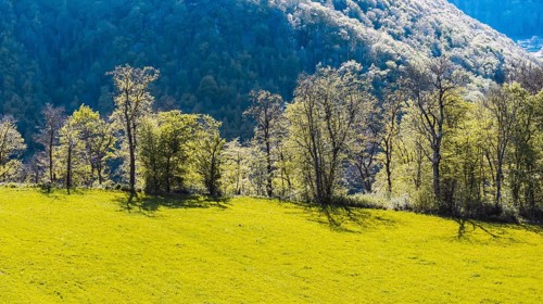 Backlit landscape near Gutenberg. Mountains and forest on the Albtrauf of the Swabian Alb in spring
