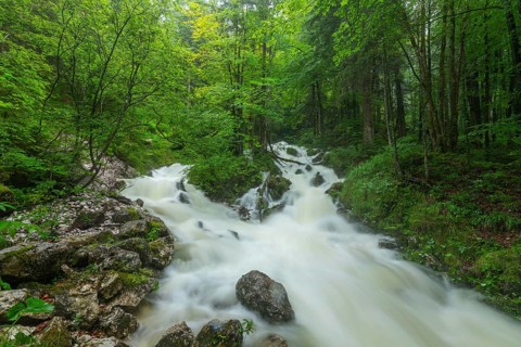 Roaring Weißbach after heavy rain near Inzell in the Alps