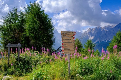 Signpost on the Helm, Sesto, Dolomites, Val Pusteria, South Tyrol, Italy
