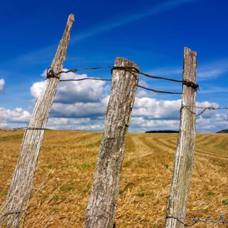 Three weathered wooden posts rise above a golden field, surrounded by a vast landscape and dotted