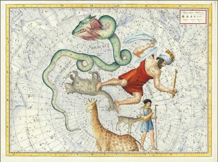 Sign of the zodiac, little bear, dragon, Cepheus, star chart, universe, astrology, horoscope, after