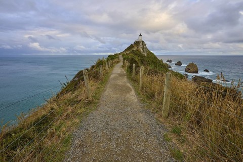 A path leads to a lighthouse on the top of rocky cliffs above the sea, summer, Nugget Point