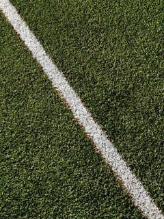 Lush green artificial turf features a freshly painted white line, clearly marking the boundary in