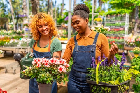 Two young women working together in a vibrant garden center, nurturing colorful flowering plants
