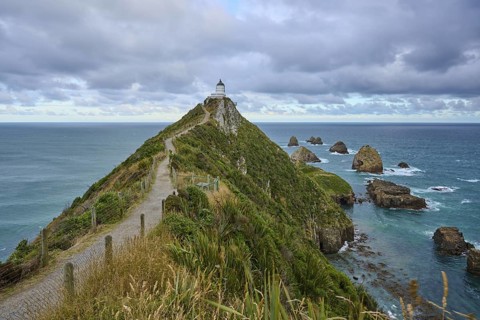 A path stretches to a lighthouse along the green coast with sea views, summer, Nugget Point