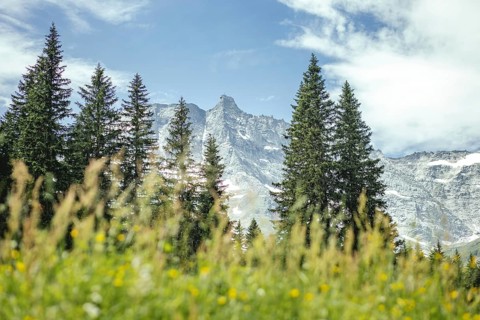 View of the Hoher Sonnblick, Rauris, Pinzgau, Salzburg, Austria