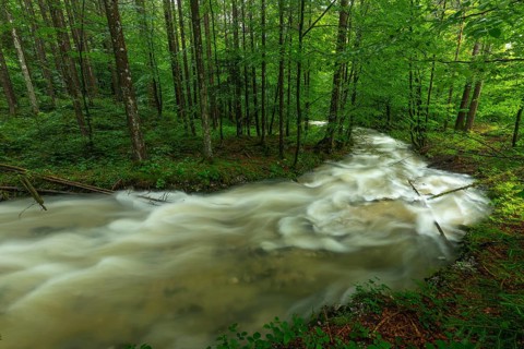 Roaring Weißbach after summer rain near Inzell-