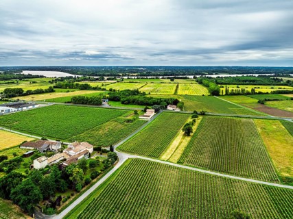 Grape fields around Castle of La Riviere, Vineyard Chateau de La Riviere from a drone, Bordeaux,