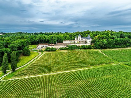 Castle of La Riviere, Vineyard Chateau de La Riviere from a drone, Bordeaux, France