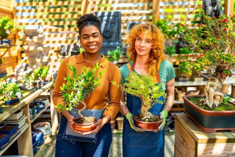 Two female gardeners holding and caring for bonsai trees while working together in a vibrant plant