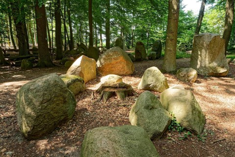 Erratic blocks in the Neuenknick erratic block forest in the Teutoburg Forest. Around 2000 of the