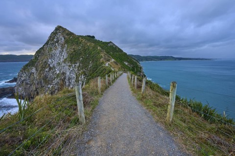 A narrow path leads along a cliff with a view of the stormy sea, summer, Nugget Point lighthouse,