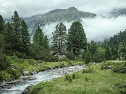 Windbach, Windbachtal, Krimmler Tauern, Pinzgau, Salzburg, Austria