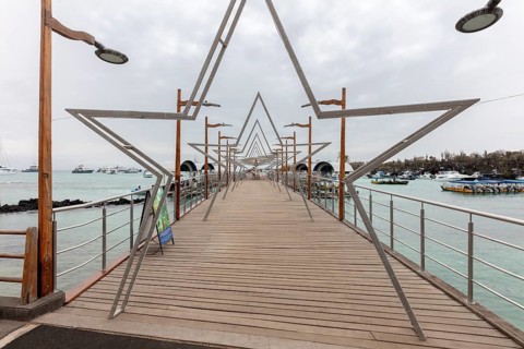 Harbour, Santa Cruz, Galapagos, Ecuador