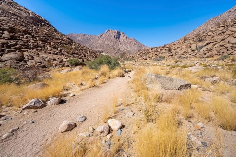 Tsisab Gorge, White Lady Trail, desert landscape with mountains, Brandberg, Erongo, Damaraland,