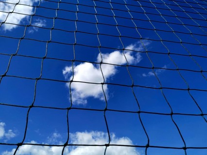Looking up at a blue sky filled with clouds, framed by a black net. The sunlight highlights the