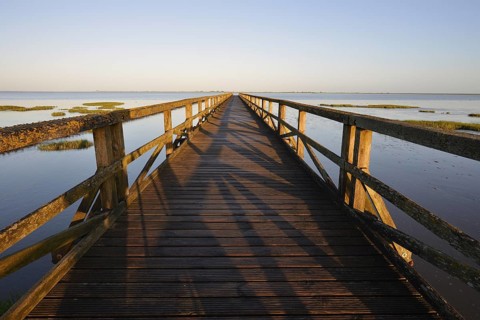 Wooden walkway in the Wadden Sea, Wadden Sea National Park, North Frisia, Schleswig-Holstein,