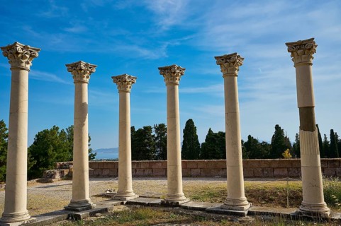 Ancient columns in front of a clear blue sky surrounded by cypresses, Temple of Apollo, Corinthian