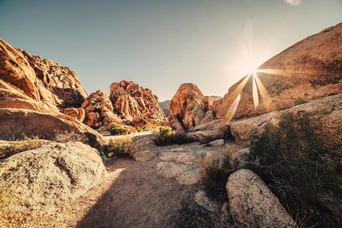 Sunrise in Joshua Tree National Park