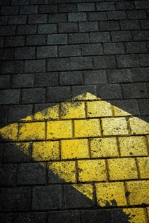 A yellow arrow marking on dark textured pavement draws attention. The sunlight creates an
