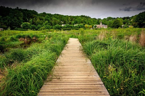 A wooden path stretches through vibrant green grass in the countryside of Auvergne, France. Distant