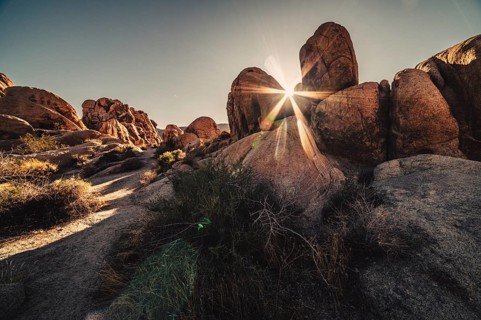 Sunrise in Joshua Tree National Park