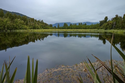 Calm lake with forest and cloudy sky, reflections visible in the water, summer, Lake Matheson, Fox