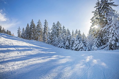 The Goetschen piste in Berchtesgadener Land, Bavaria, Germany