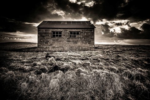 Sitting alone in a vast landscape, a rustic hut reveals the natural beauty of the Regional Nature