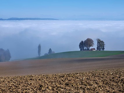 View from Schlatt to the sea of fog over the Reuss valley, Freiamt, Canton Aargau, Switzerland
