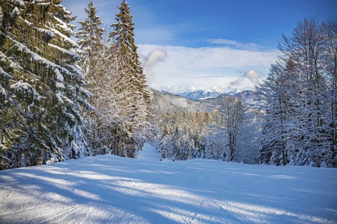 The Goetschen piste in Berchtesgadener Land, Bavaria, Germany