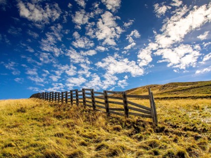 A wooden barrier runs across a grassy area on Sancy mountain, part of the Auvergne Volcanoes