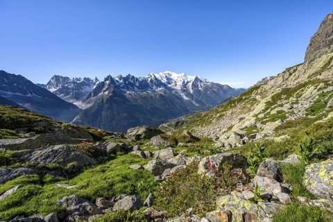 Mountain panorama with glaciated mountain peaks, Aiguille du Midi and Mont Blanc, Aiguille de
