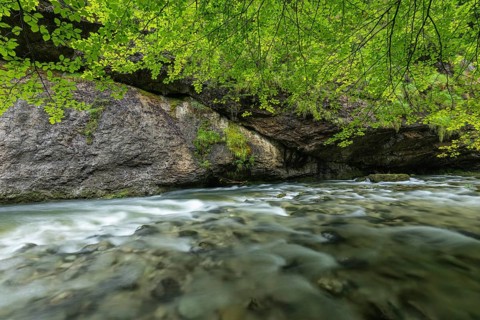 Wild and romantic Weißbach Gorge near Inzell