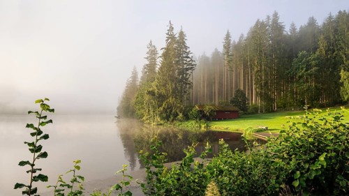 Lake Blaibach on a misty morning with sunshine. Blaibach, district of Cham, Upper Palatinate,