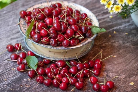 Fresh sweet cherries (Prunus avium) in a bowl, Bavaria, Germany