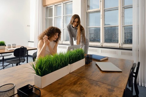 Women collaborating on a digital project in a modern workspace focused on health solutions