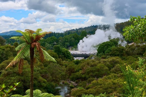 Steam clouds rise from a volcanic area between green trees and ferns under a slightly cloudy sky,