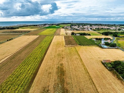 Fields and Grape plantations from a drone, Saint-Clement-des-Baleines, Atlantic, France