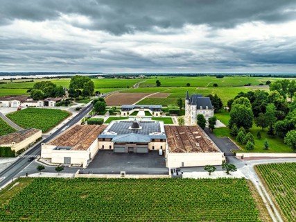 Chateau Pichon Longueville Baron Vineyard and grape fields around Pauillac from a drone, Bordeaux,