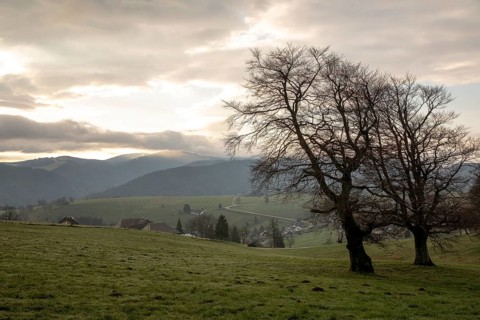 View from Schauinsland to the east with the mountains of the Black Forest in the morning, in the