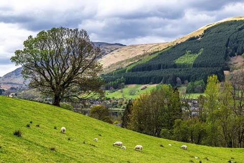 Farm and mountains, Loch Earn, Southern Highlands, Scotland, United Kingdom