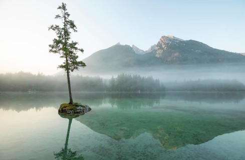 Magical sunrise with fog at Hintersee near Ramsau in Berchtesgadener Land