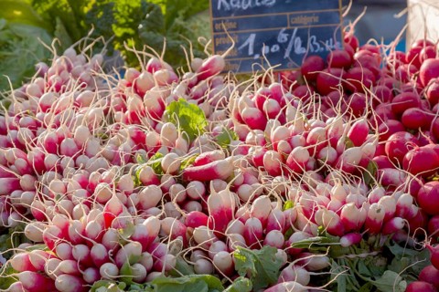 Radish, market stall, market sale, Brittany, France