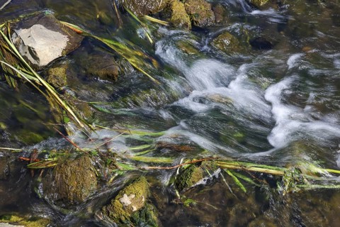 Bottrop, North Rhine-Westphalia, Germany - Renaturalised Boye, the tributary of the Emscher, has
