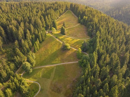 Green forests and fields with small paths and sunlight, Retro Freizeitpark Poppeltal giant slide,