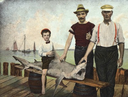 Two men and a boy pose with a shark. Child riding the shark. Presumably a Grey reef shark