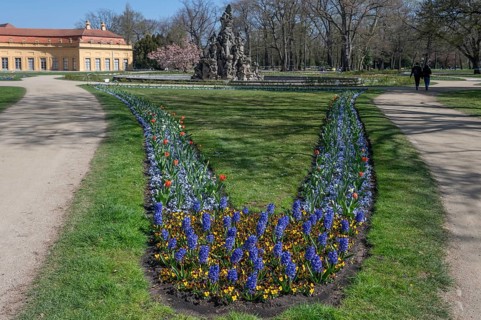Planted spring beds in the palace park, behind the Huguenot fountain from 1706, Erlangen, Middle